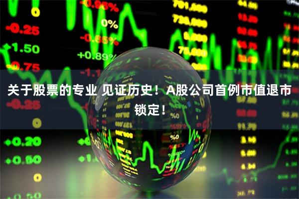 关于股票的专业 见证历史！A股公司首例市值退市锁定！