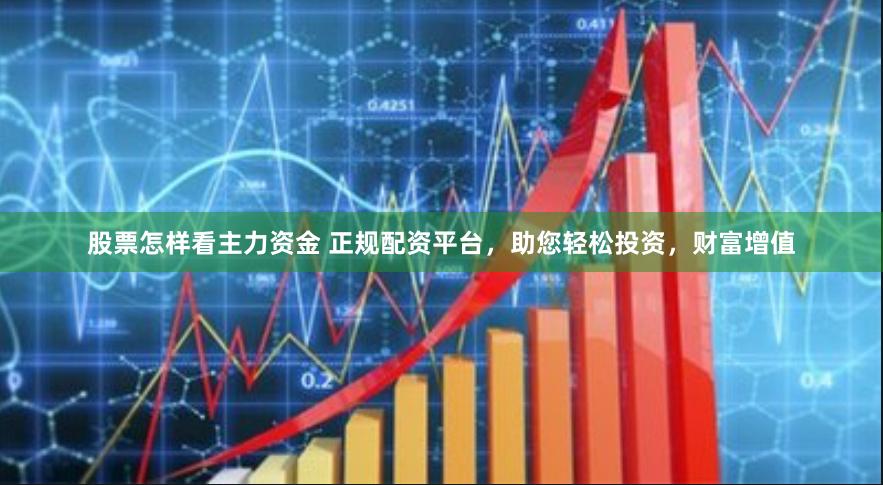 股票怎样看主力资金 正规配资平台，助您轻松投资，财富增值