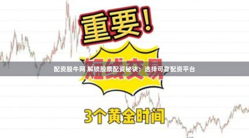 配资股牛网 解锁股票配资秘诀：选择可靠配资平台